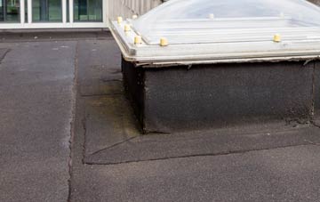 disadvantages of Raymonds Hill flat roofs