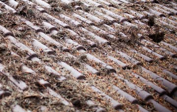 Raymonds Hill roof cleaning companies