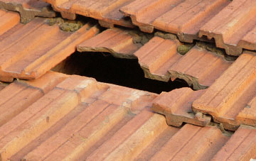 roof repair Raymonds Hill, Devon